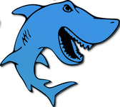 Porzellan- und Weinstadt Meißen